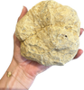 Edelsteen bergkristal geode
